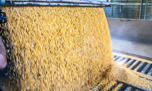 Dust Explosions: 7 of the Most Vulnerable Powder Processors and Manufacturers